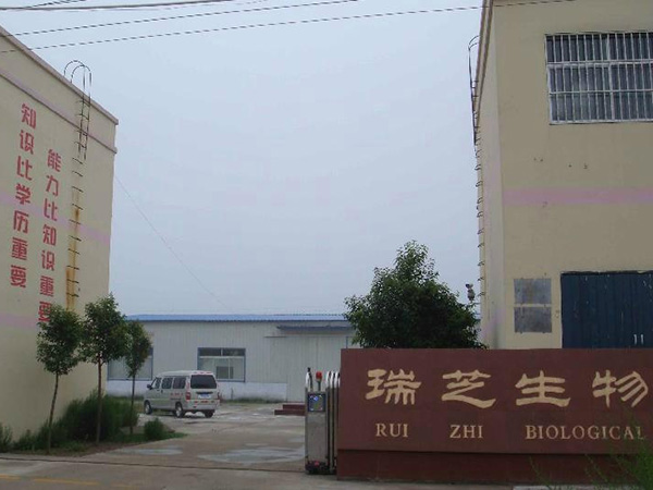 山東瑞芝生物科技有限公司